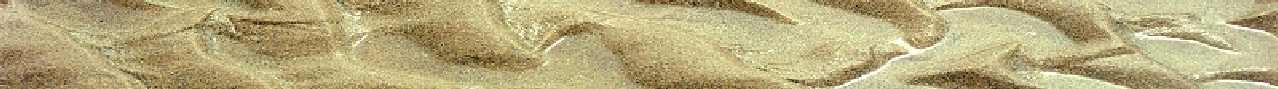 wp7b9f0d4b.png