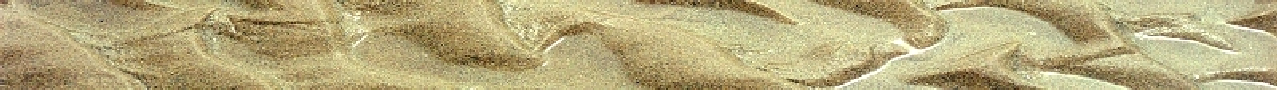 wpd295661d.png